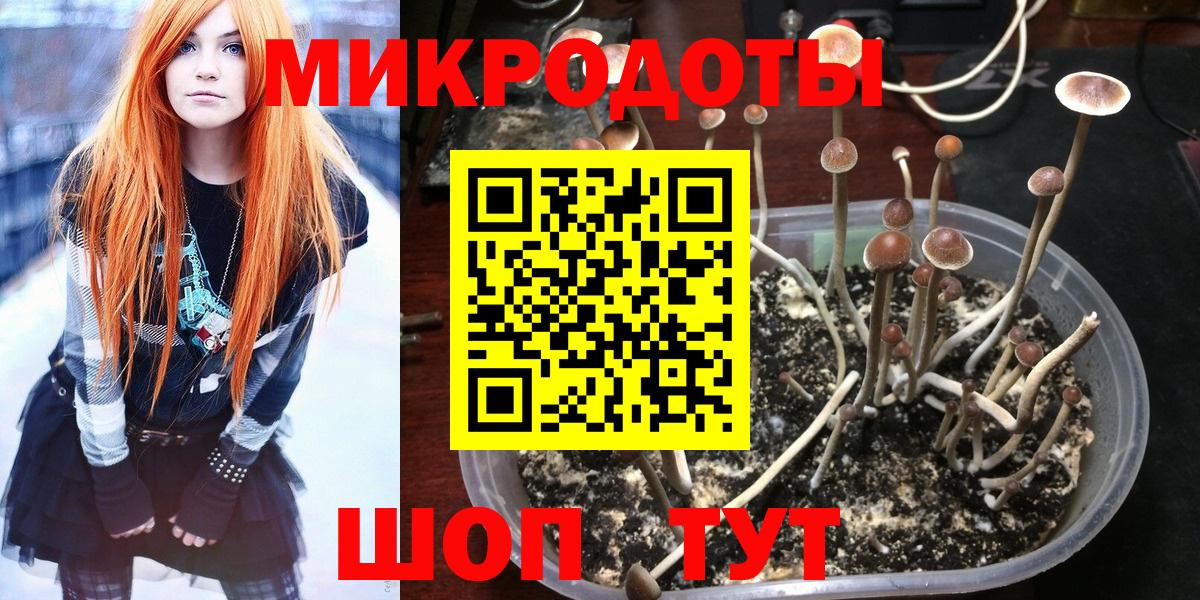 Галлюциногенные грибы ЛСД  купить наркотики сайты  Горячий Ключ  Вход с VPN 