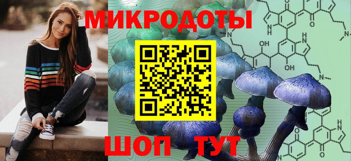 Галлюциногенные грибы Psilocybine cubensis Горячий Ключ